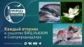 Новая рубрика «Природа Севастополя»: вместе с ФИЦ ИнБЮМ!
