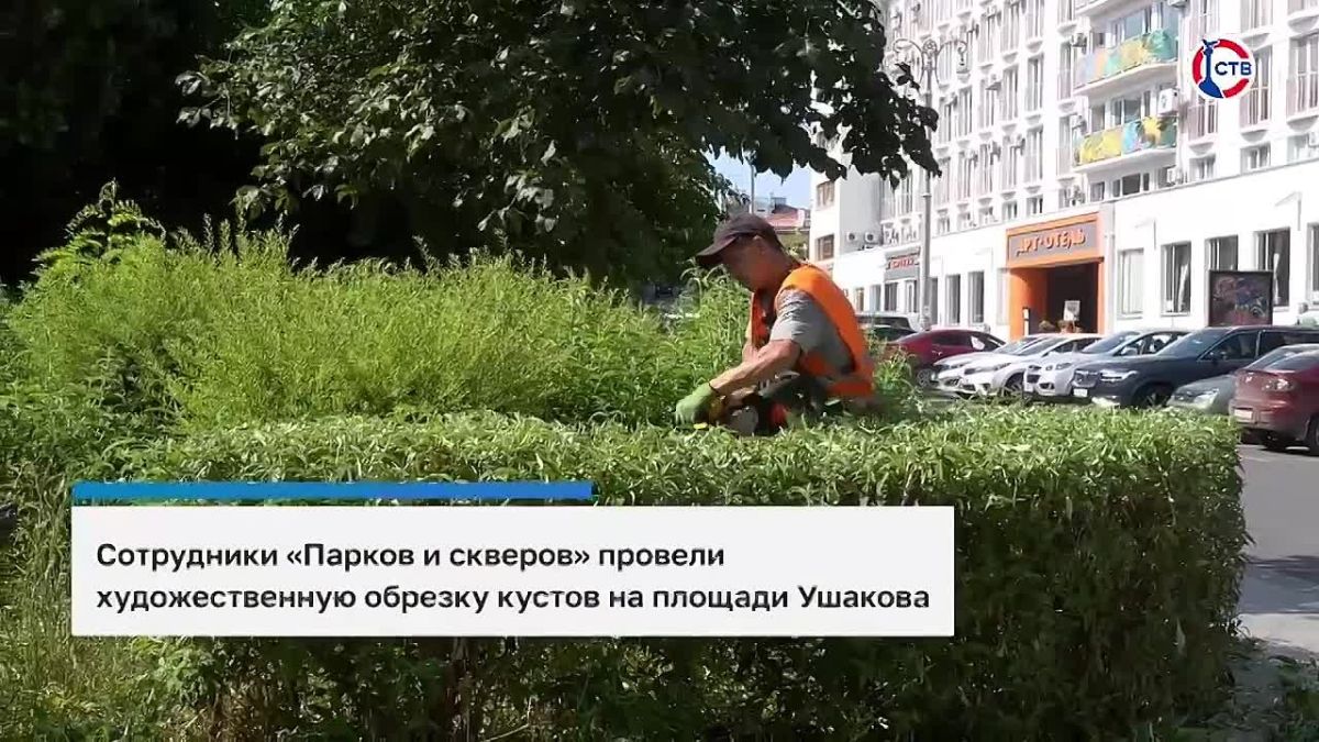 Сотрудники «Парков и скверов» провели художественную обрезку кустов на площади Ушакова