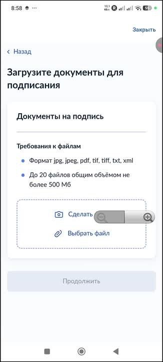 «Госключ»: Ваш цифровой помощник в МАХ!