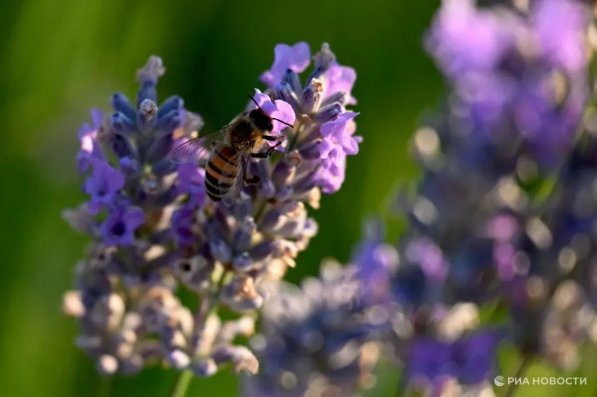 Прогноз погоды в Крыму на воскресенье