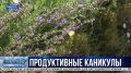 Каникулы с пользой. Севастопольским школьникам помогут трудоустроиться до конца лета