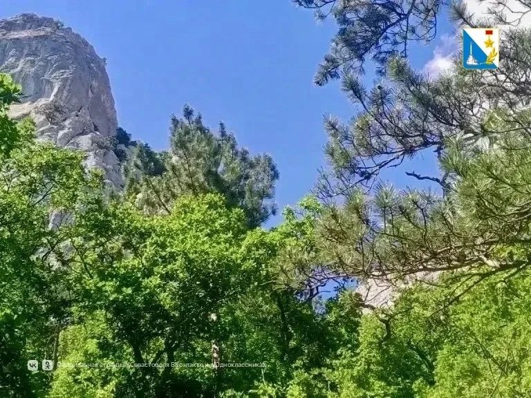 Наши спасатели в очередной раз продемонстрировали мастерство и спасли заблудившуюся туристку Наши спасатели в очередной раз продемонстрировали мастерство и спасли заблудившуюся туристку