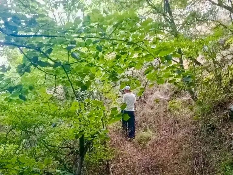 Спасатели вывели с Большой севастопольской тропы туриста Спасатели вывели с Большой севастопольской тропы туриста