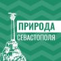 #ПриродаСевастополя. Барабуля обыкновенная (султанка) – небольшая черноморская придонная рыба семейства султанковых отряда окунеобразных
