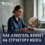 Современные исследования опровергают тезис о пользе умеренного алкоголя