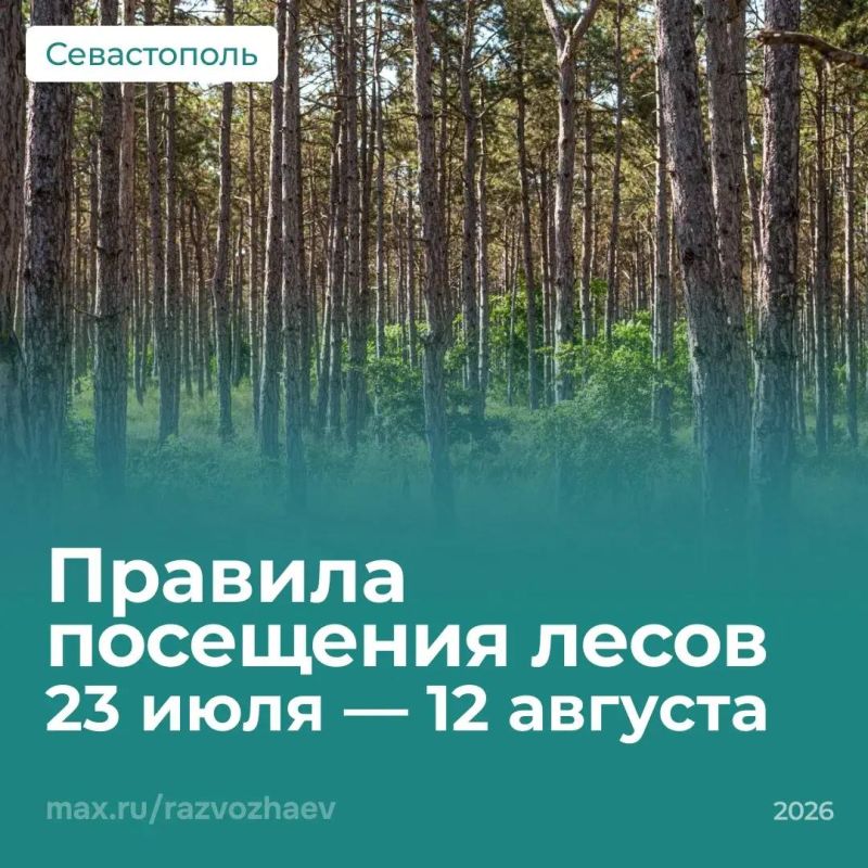 Михаил Развожаев: Леса Севастополя остаются открытыми для прогулок