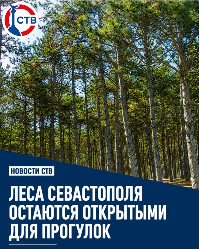 В Севастополе продолжает действовать особый противопожарный режим, однако леса остаются открытыми для посещения