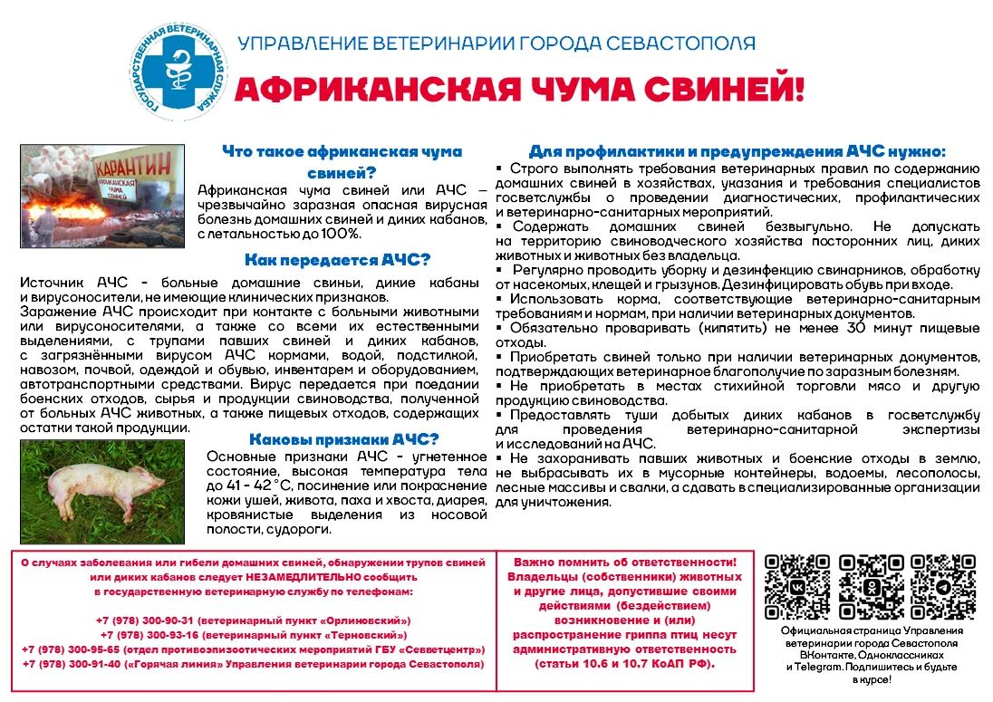 Управление ветеринарии города Севастополя информирует