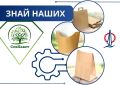 Промышленность Севастополя – Знай наших!