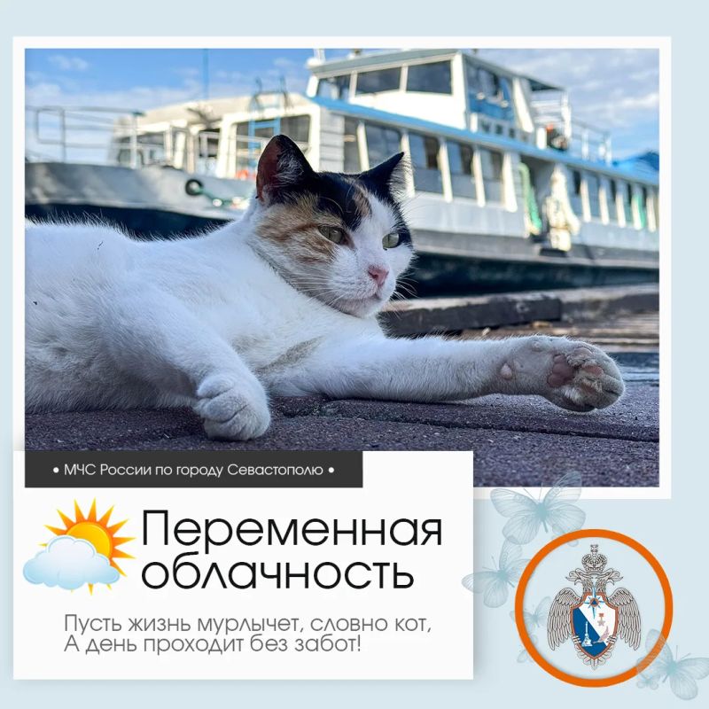 Здравствуй, Севастополь!. По данным гидрометцентра, 26 июля в Севастополе будет переменная облачность