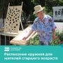 Пенсия - время для себя!. Открывать новое для себя можно в любом возрасте - обратитесь в Севастопольский комплексный центр соцобслуживания (ул
