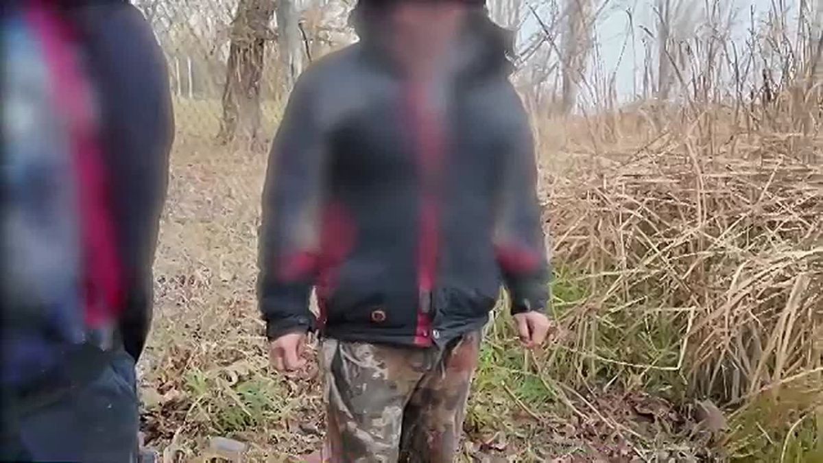 Двое крымчан осуждены за госизмену и хранение взрывчатки