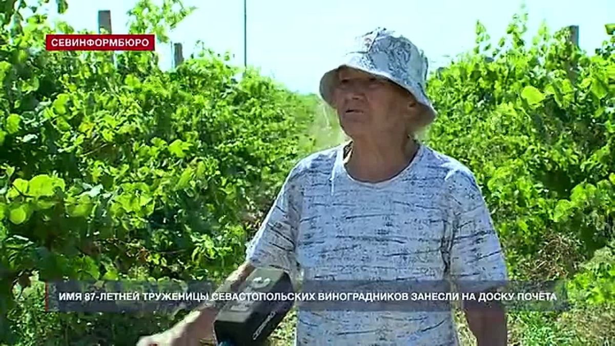 Без любви дела не будет нигде: история 87-летней труженицы севастопольских виноградников