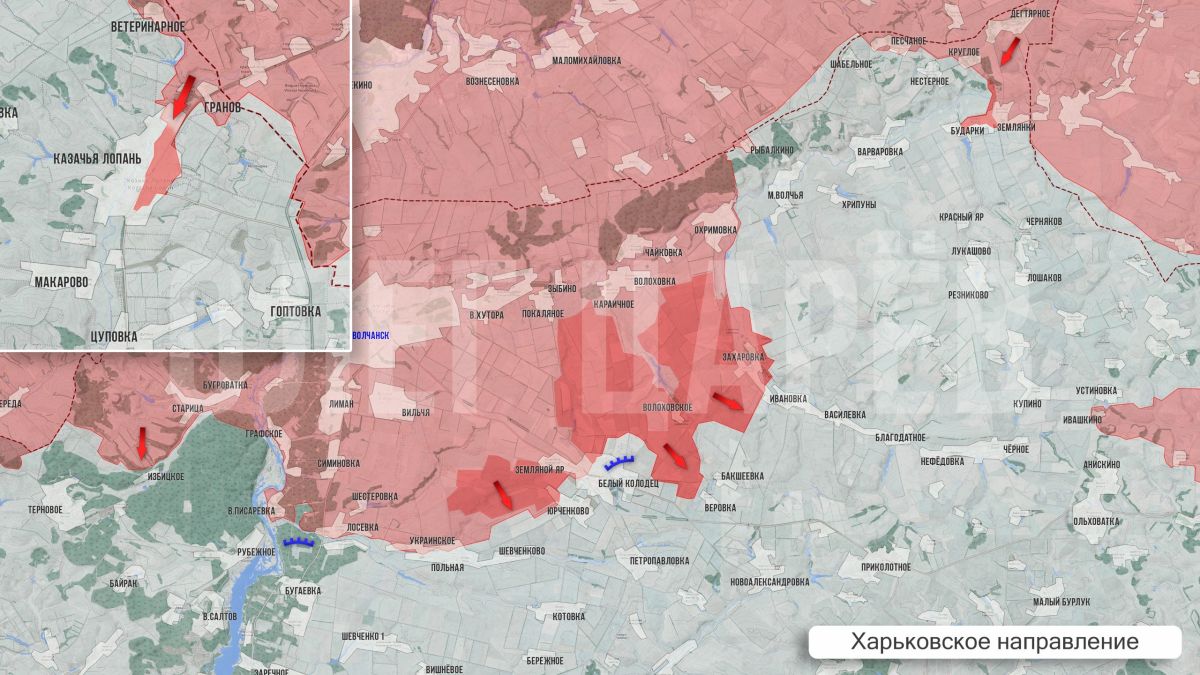 Олег Царёв: Фронтовая сводка 1 августа Олег Царёв: Фронтовая сводка 1 августа