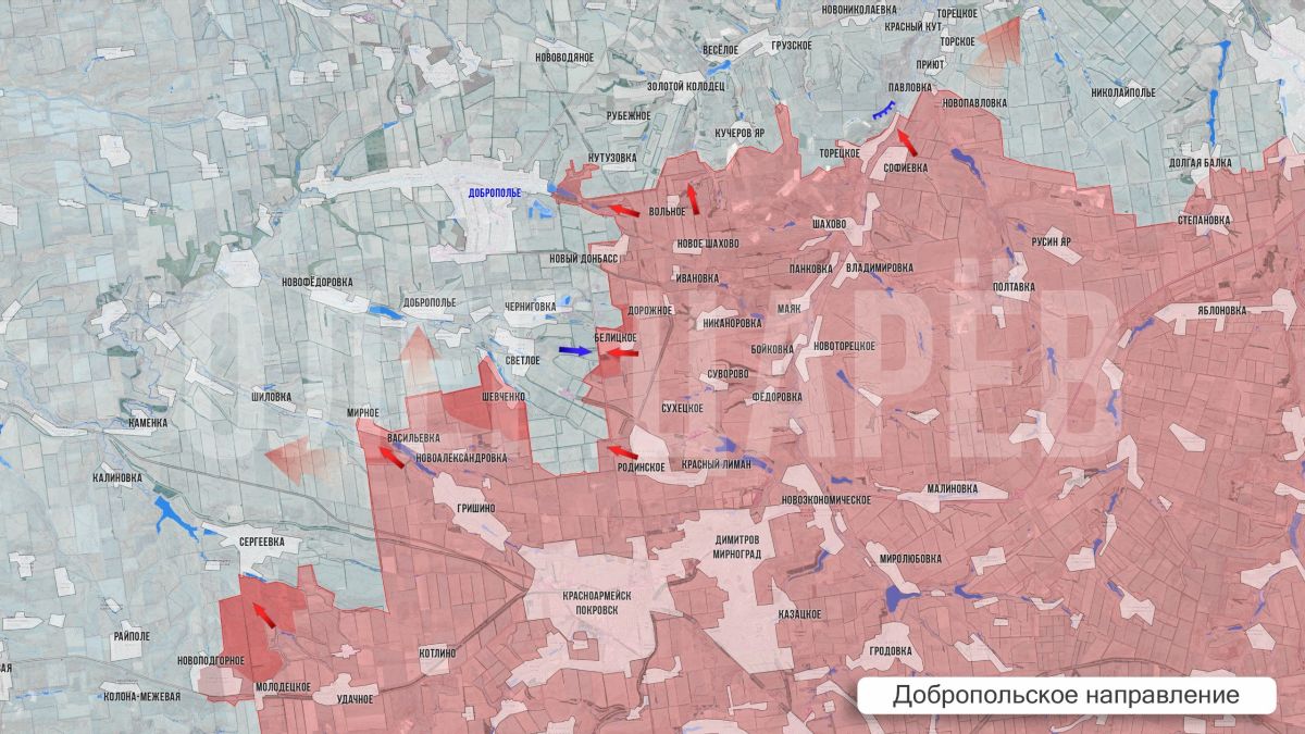 Олег Царёв: Фронтовая сводка 1 августа Олег Царёв: Фронтовая сводка 1 августа