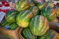 Николай Приставка: Контроль качества сезонной продукции на городских ярмарках Севастополя находится на постоянном контроле