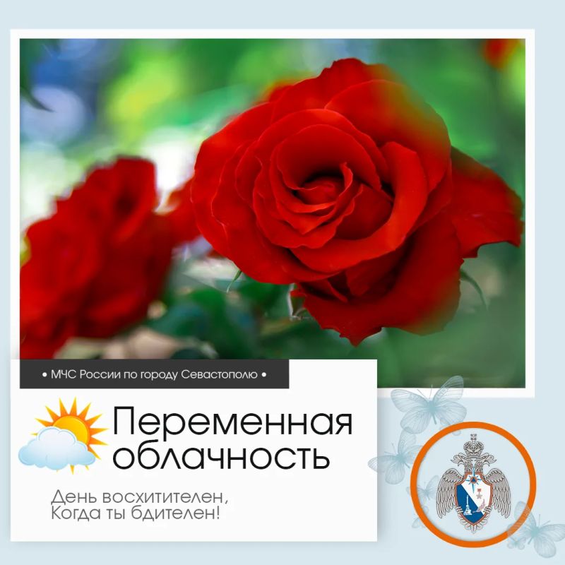 Здравствуй, Севастополь!. По данным гидрометцентра, 4 августа в Севастополе будет переменная облачность