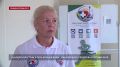 Перегрев в жару: как распознать опасные симптомы