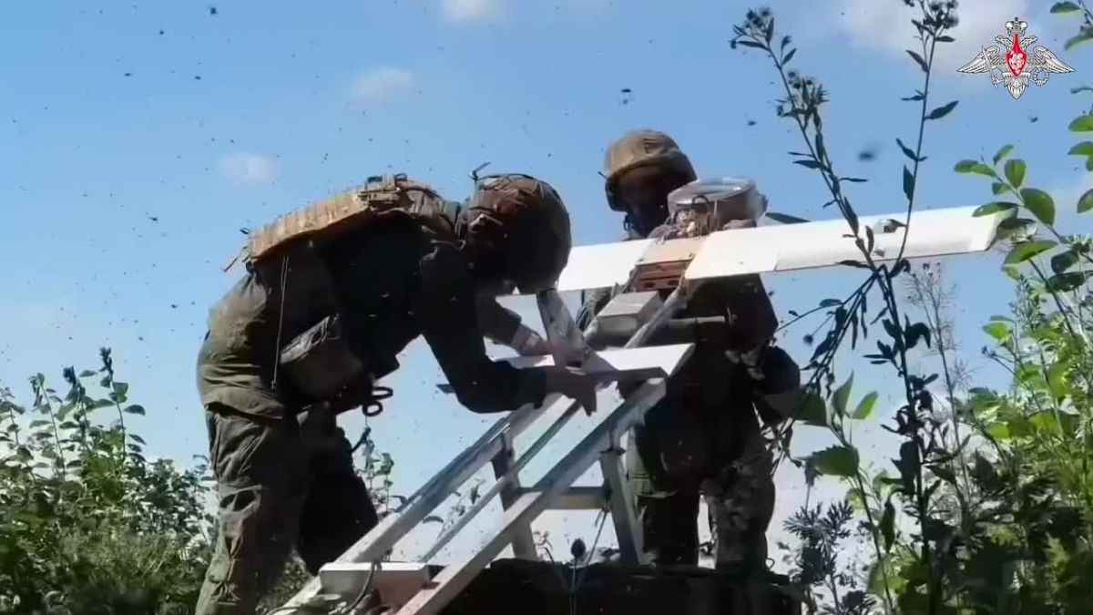 Подразделения группировки войск «Север» установили контроль над населенным пунктом Анискино Харьковской области – Минобороны РФ