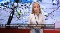 Когда электричество исчезает, привычная жизнь останавливается
