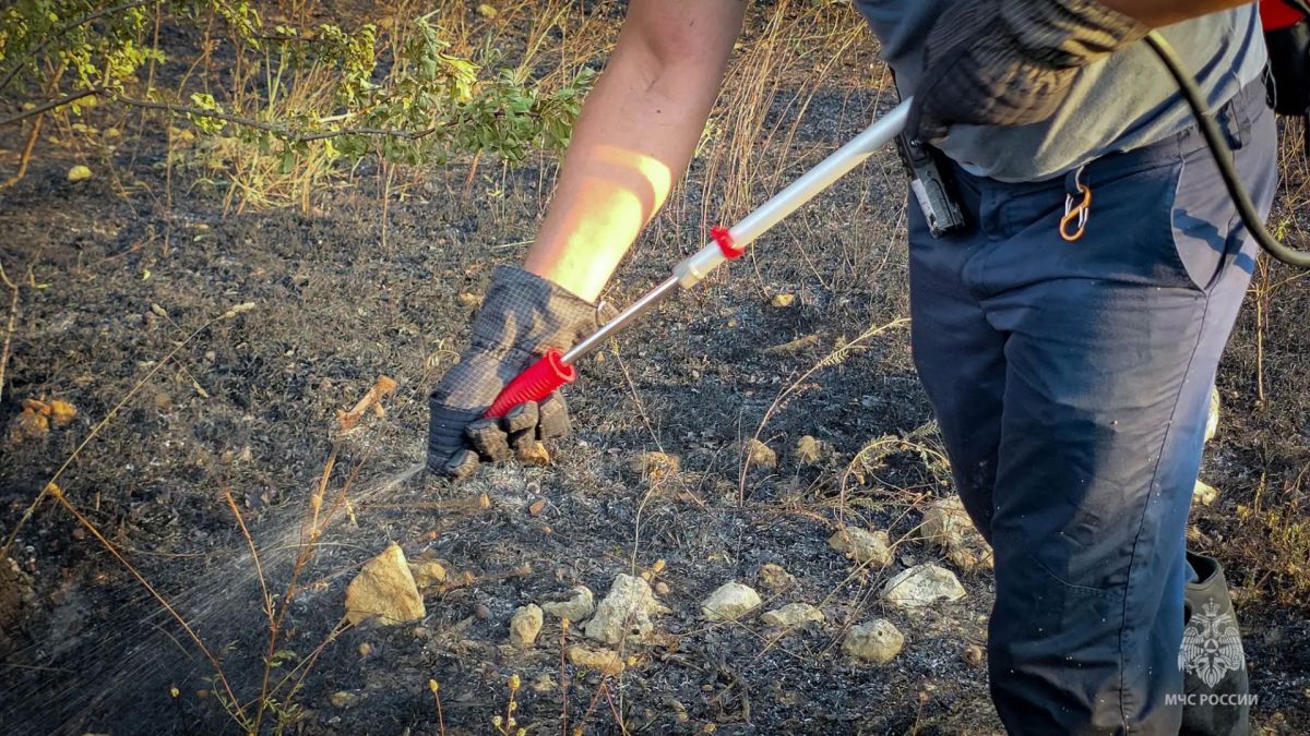 Лесной пожар потушили в Севастополе Лесной пожар потушили в Севастополе