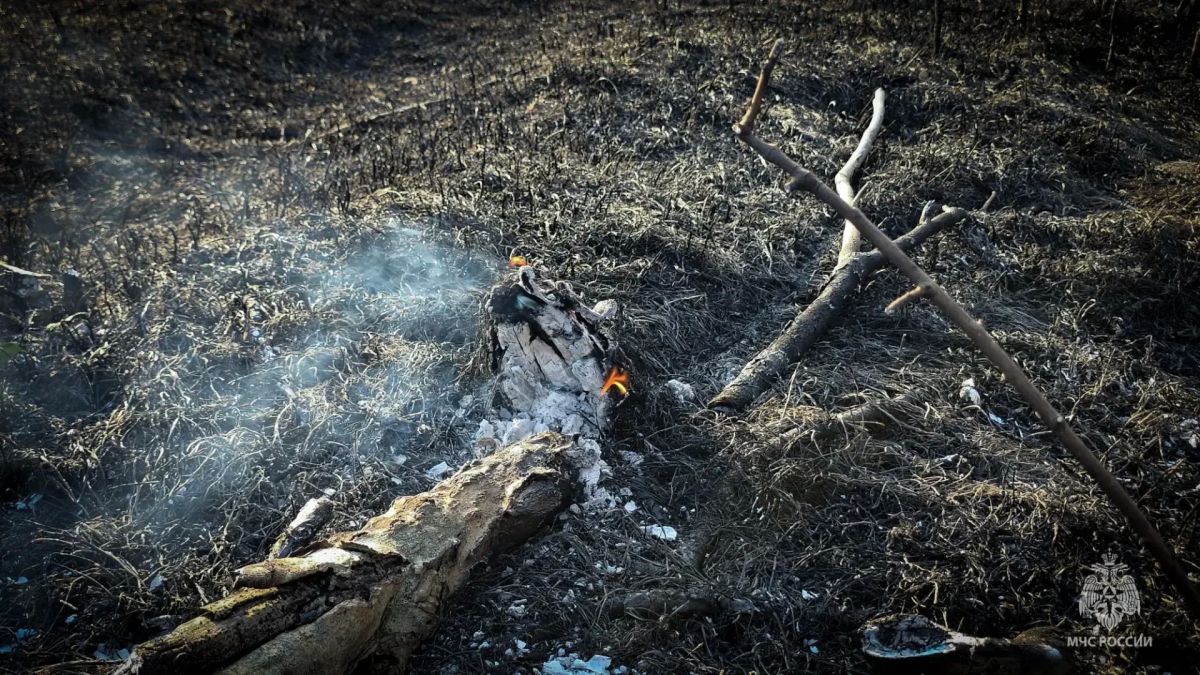 В Севастополе ликвидировали лесной пожар на площади в семь гектаров В Севастополе ликвидировали лесной пожар на площади в семь гектаров