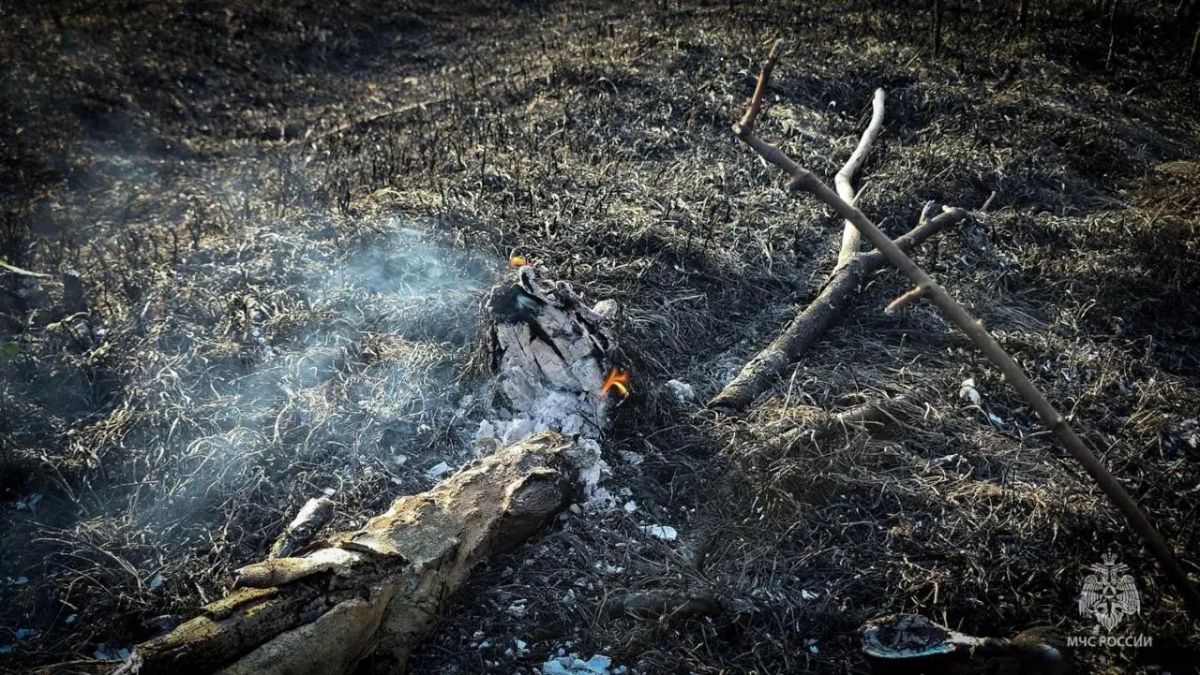 В Севастополе горели лес и сухая трава на площади 7 гектаров: пожар потушили В Севастополе горели лес и сухая трава на площади 7 гектаров: пожар потушили
