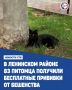 Ветеринарные специалисты провели вакцинацию домашних животных