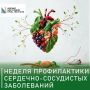 Профилактика сердечно-сосудистых заболеваний — это стратегия активного долголетия, так как износ системы начинается задолго до симптомов