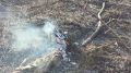 Лесной пожар на 7 га потушен в Севастополе — МЧС