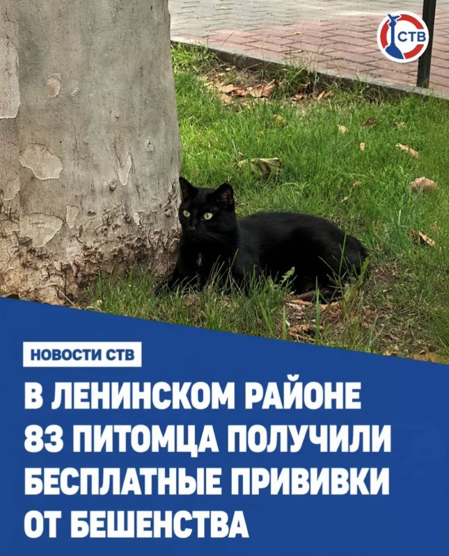 Ветеринарные специалисты провели вакцинацию домашних животных