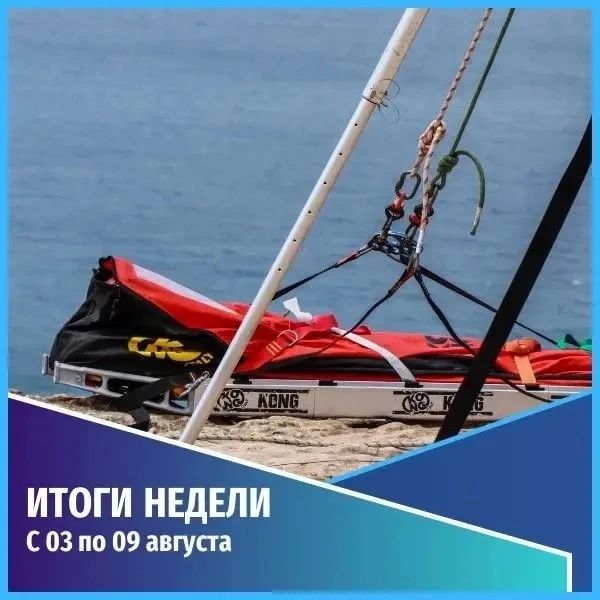 Общественная безопасность. События недели с 3 августа по 9 августа
