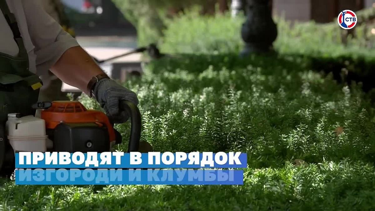 Главные новости Севастополя – каждый день на телеканале «СТВ»