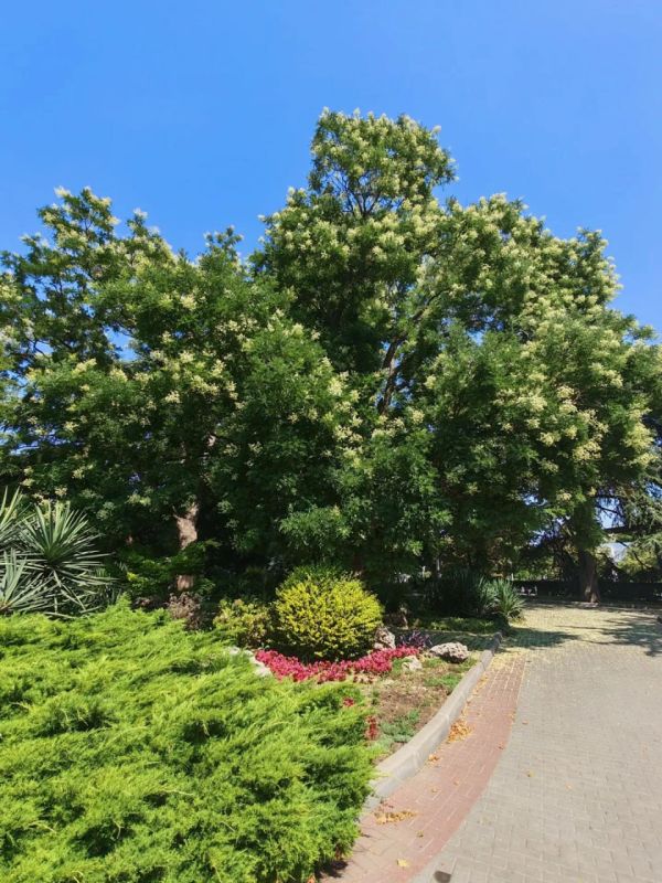 Доброго утра и хорошего дня! Доброго утра и хорошего дня!