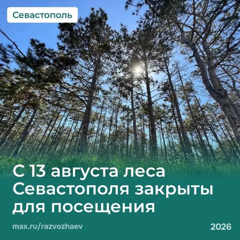 Внимание: с 13 августа леса Севастополя закрыты для посещения!