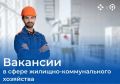 Сейчас на портале «Работа России» доступно более 450 вакансий в этой сфере