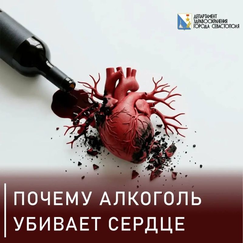 «Представьте насос — это ваше сердце. Алкоголь делает кровь густой. Насосу приходится качать сироп вместо воды. Мотор перегревается, изнашивается и в один день просто встает. Алкоголь — прямой яд для митохондрий...