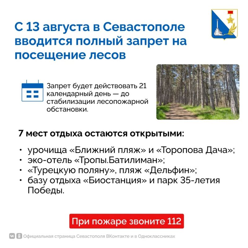 С 13 августа вводится запрет на посещение лесов