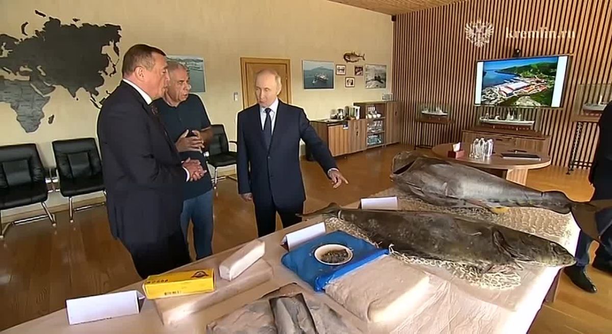 Главное к этому часу: Путин впервые посетил Курильские острова. «Какая у вас погода хорошая, курорт!» — обратился он к жителям города Курильск на острове Итуруп. «Мы думали, это вы договорились», — ответила одна жительниц....