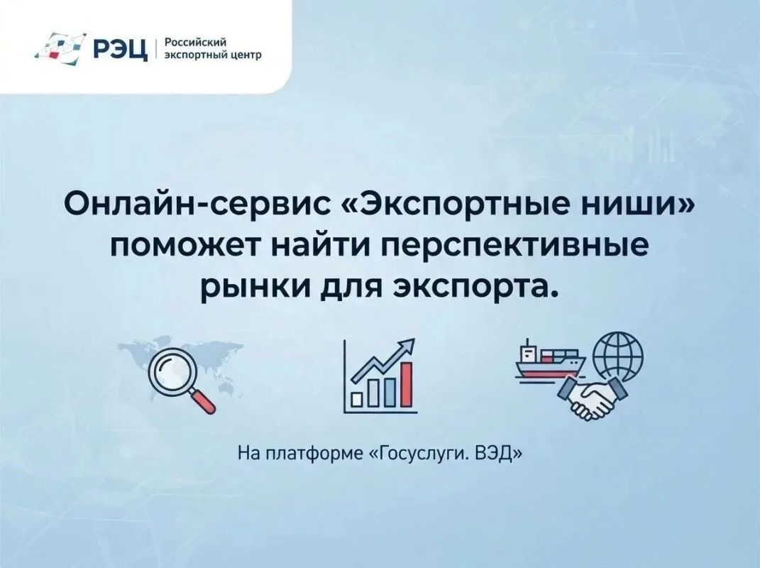 Мария Литовко: Новый инструмент для севастопольских экспортеров: онлайн-сервис «Экспортные ниши» на платформе «Госуслуги
