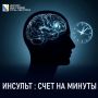 ИНСУЛЬТ: СЧЕТ НА МИНУТЫ. Инсульт — это внезапная остановка кровоснабжения мозга