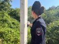 � ����������� ������ ����������� ����������� ������� ��������� ����� �������� ����������