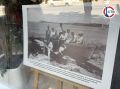 В Севастополе открылась фотовыставка об истории ИнБЮМ