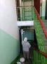 Во исполнение поручения Госжилнадзора в рамках рассмотрения обращения гражданина управляющей компанией выполнены работы по затирке, шпаклевке, побелке и покраске стен в подъезде №4 по пр-ту Генерала Острякова, д. 31