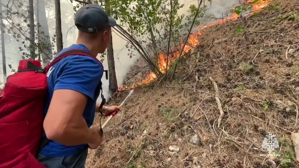 Площадь лесного пожара в Ялте увеличилась до 50 гектаров