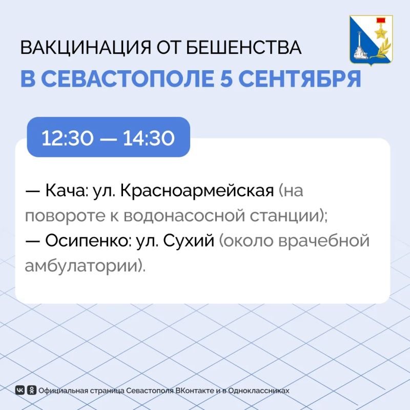 Более 130 домашних животных привили на выходных в Нахимовском районе Более 130 домашних животных привили на выходных в Нахимовском районе