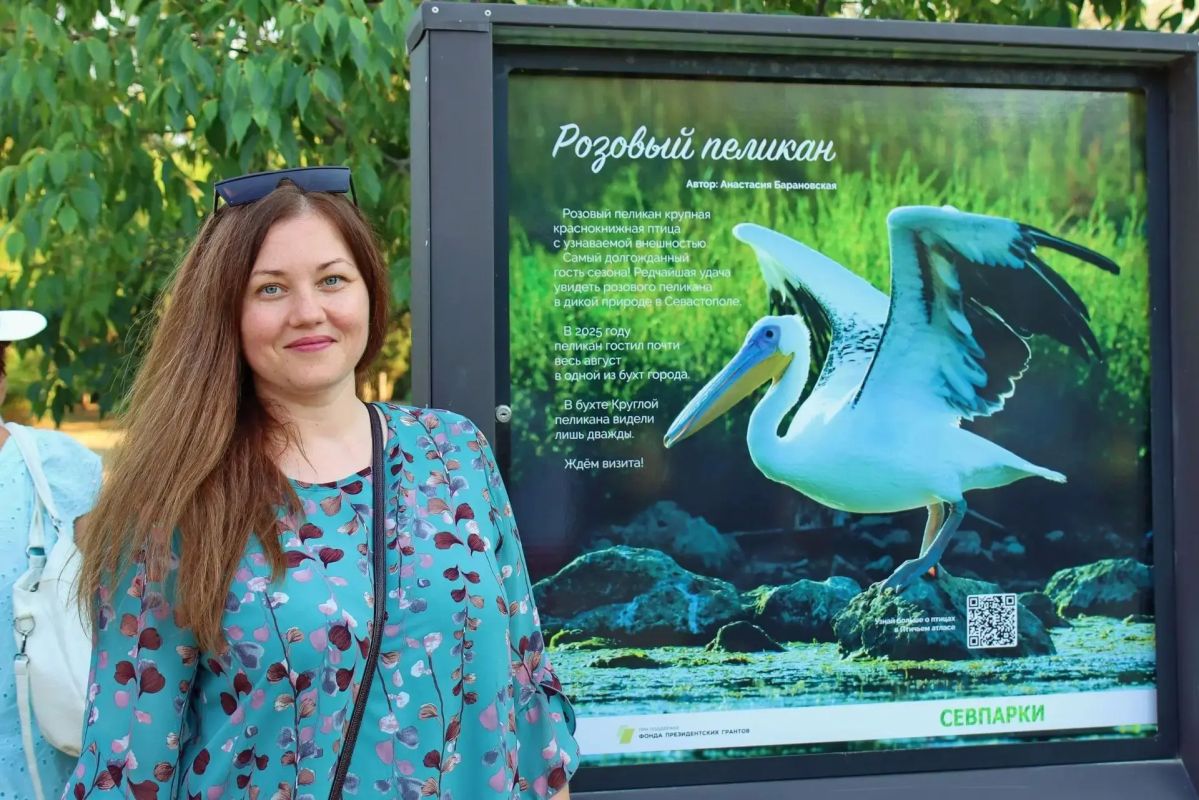 Более 75 видов птиц в черте города: в Севастополе запустили эко-туристический проект «На птичьих правах»