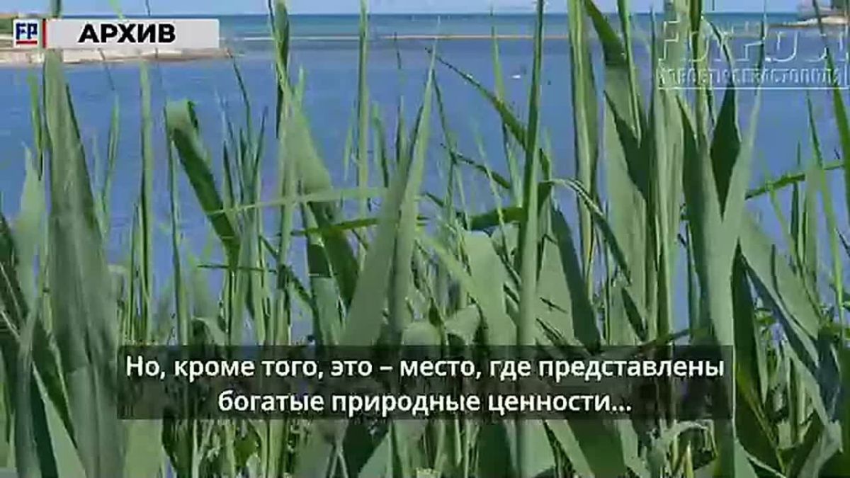 В Севастополе стартовал экологический проект «На птичьих правах»