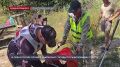 В Севастополе прошёл Чемпионат города по рыболовному спорту