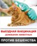Главное управление ветеринарии города Севастополя информирует о бесплатных противоэпизоотических мероприятиях